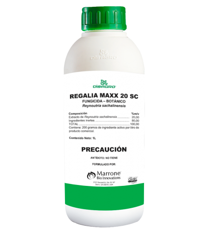 Regalia Maxx